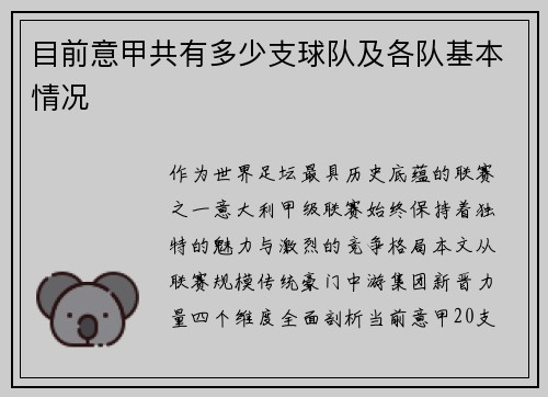 目前意甲共有多少支球队及各队基本情况